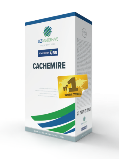CACHEMIRE