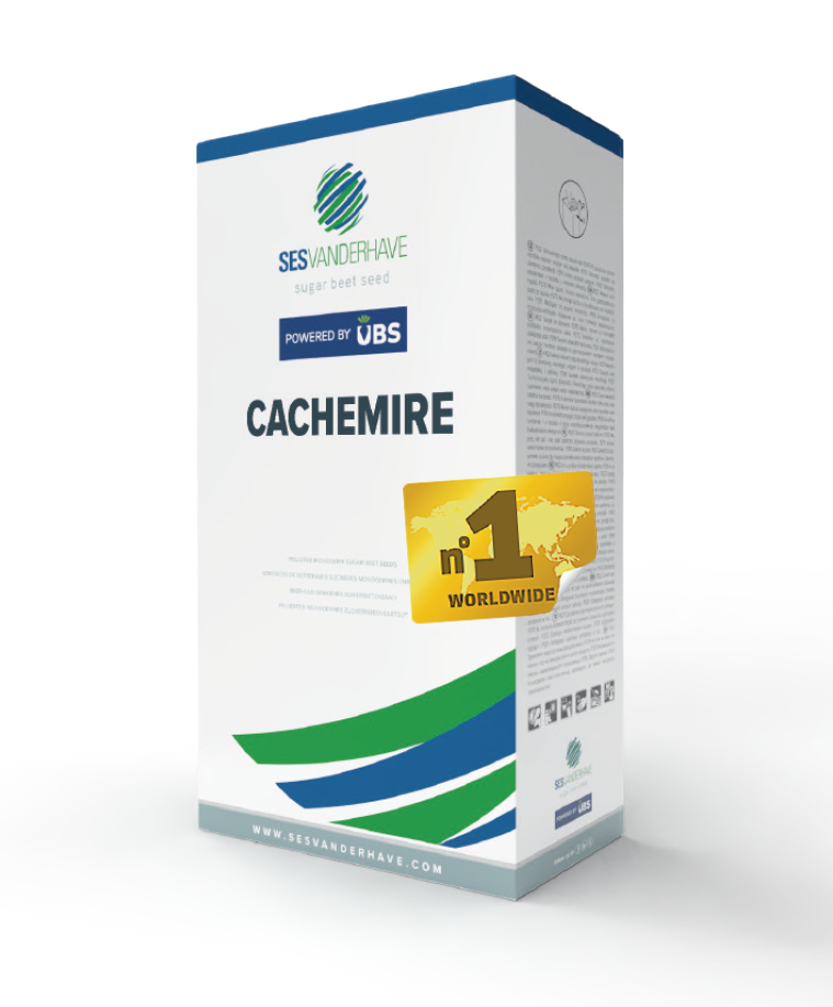 CACHEMIRE