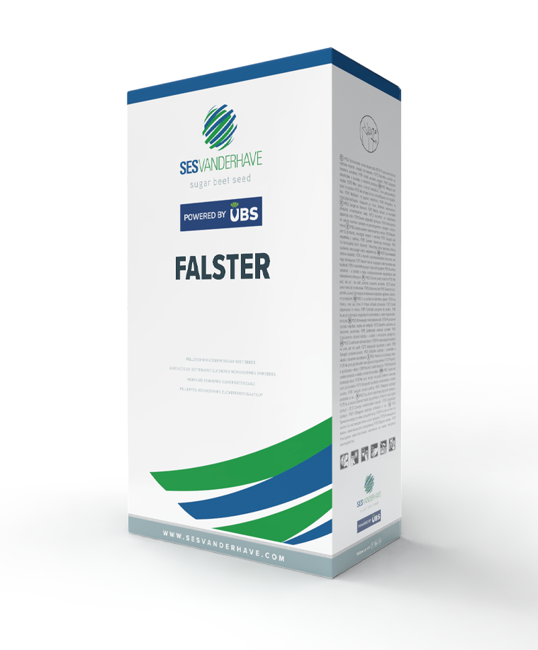 FALSTER