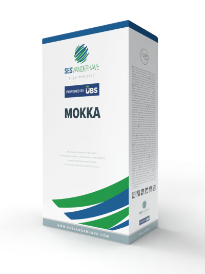 MOKKA