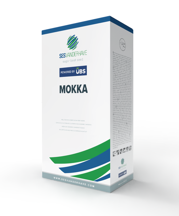 MOKKA
